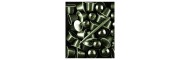 Caran d'Ache - 849 - Nespresso India - Limited Edition - Penna a sfera