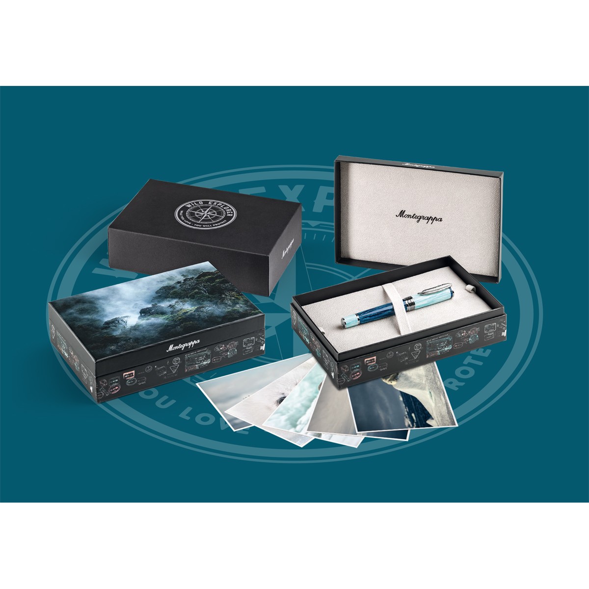 Montegrappa - Wild Arctic - Stilografica