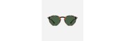 Nooz - Reading Sunglasses - Cruz - Tortoise