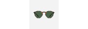 Nooz - Reading Sunglasses - Cruz - Tortoise