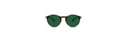 Nooz - Sunglasses - Cruz - Classic Tortoise