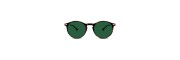 Nooz - Sunglasses - Cruz - Classic Tortoise