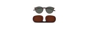 Nooz - Sunglasses - Cruz - Classic Tortoise